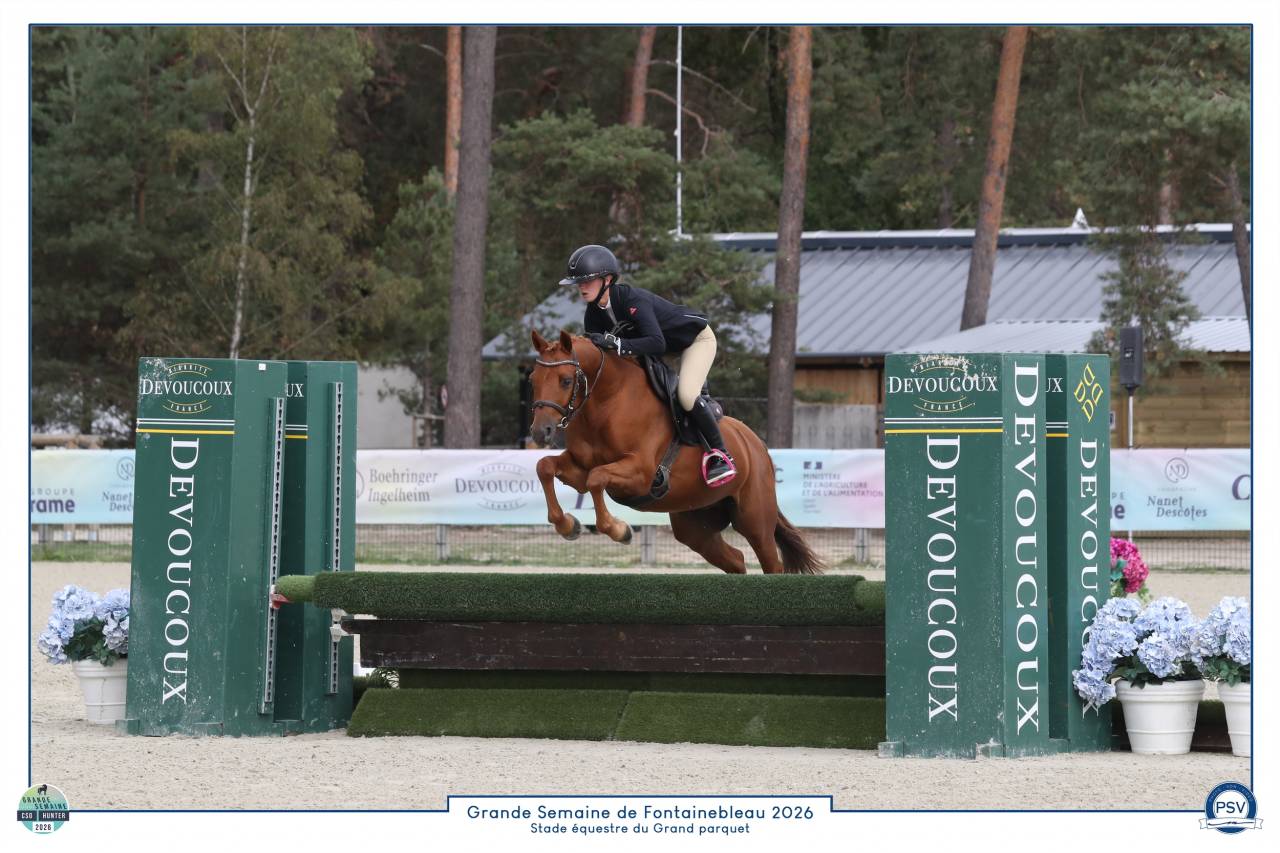Poney de sport 