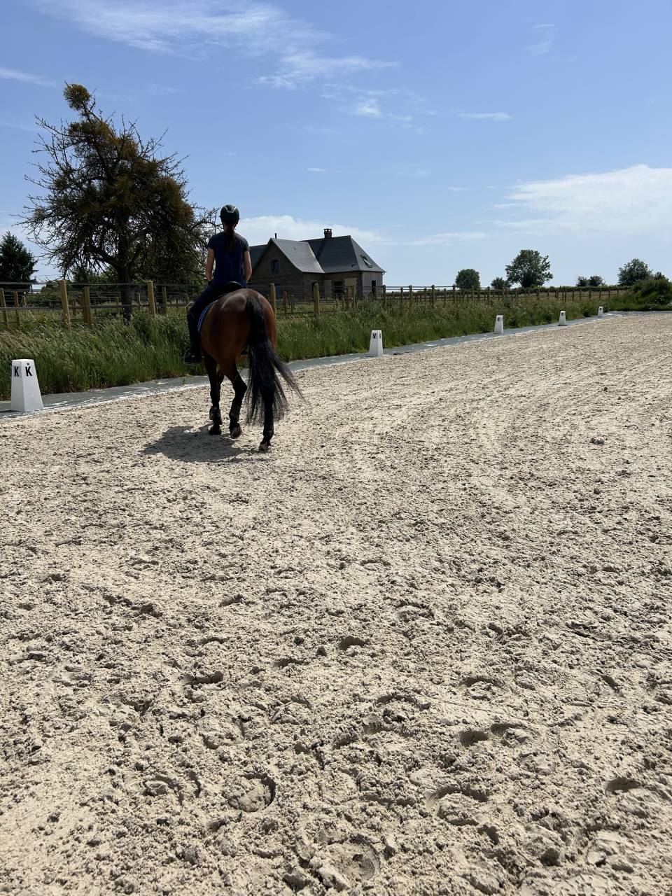 Pension chevaux 