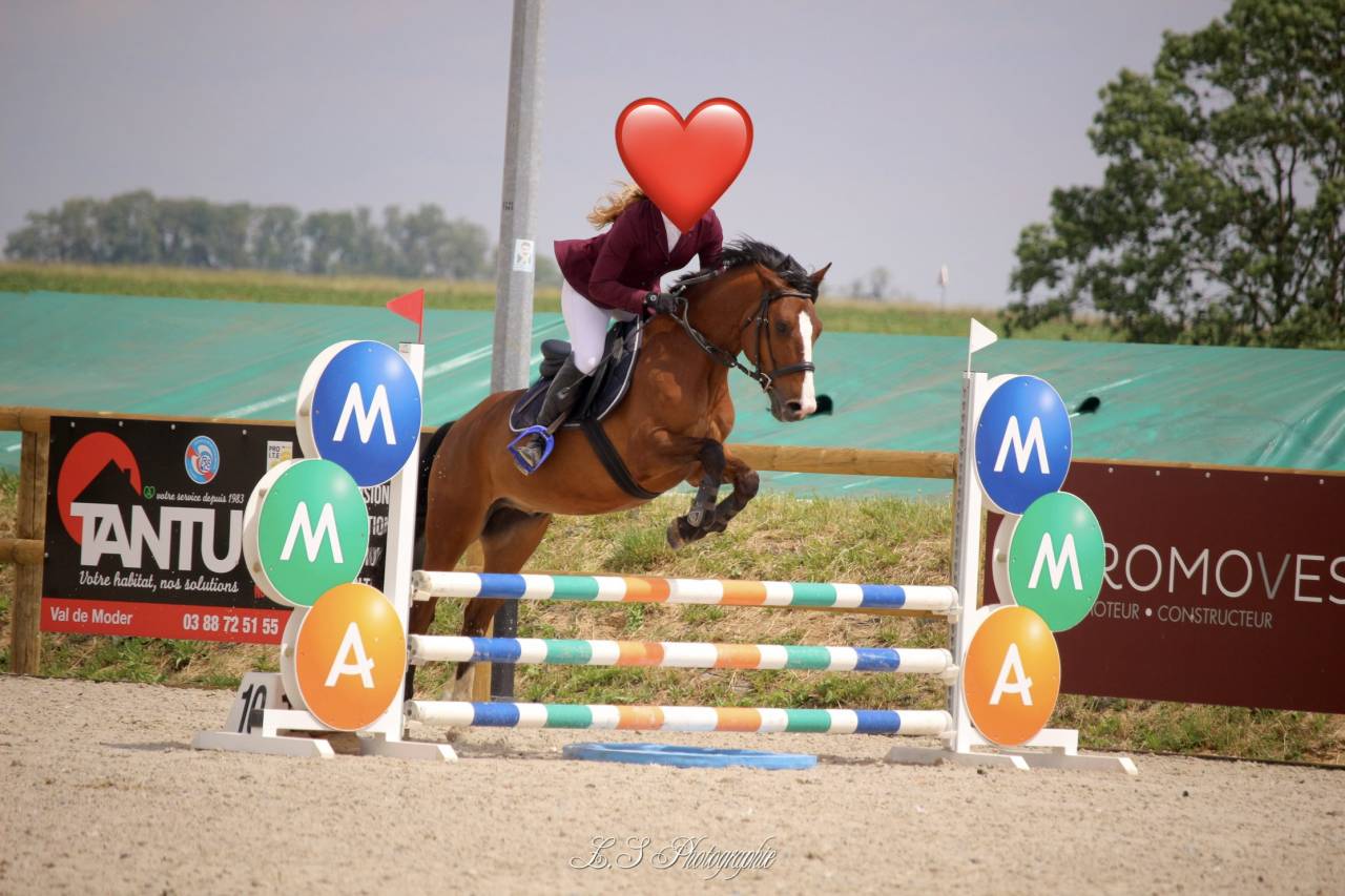 Poney de sport 