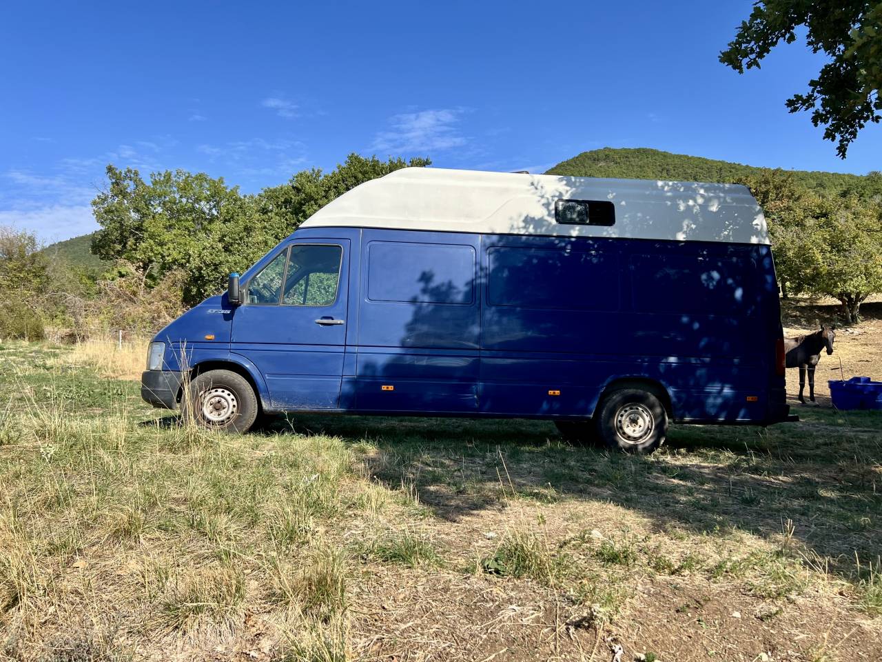 Camion VL b&eacute;taill&egrave;re pour 2 chevaux 