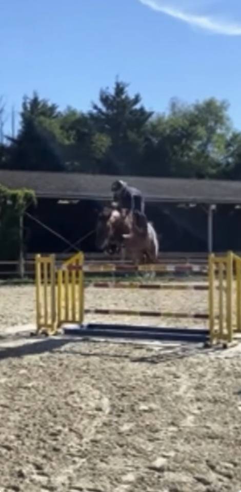 Jument CSO
