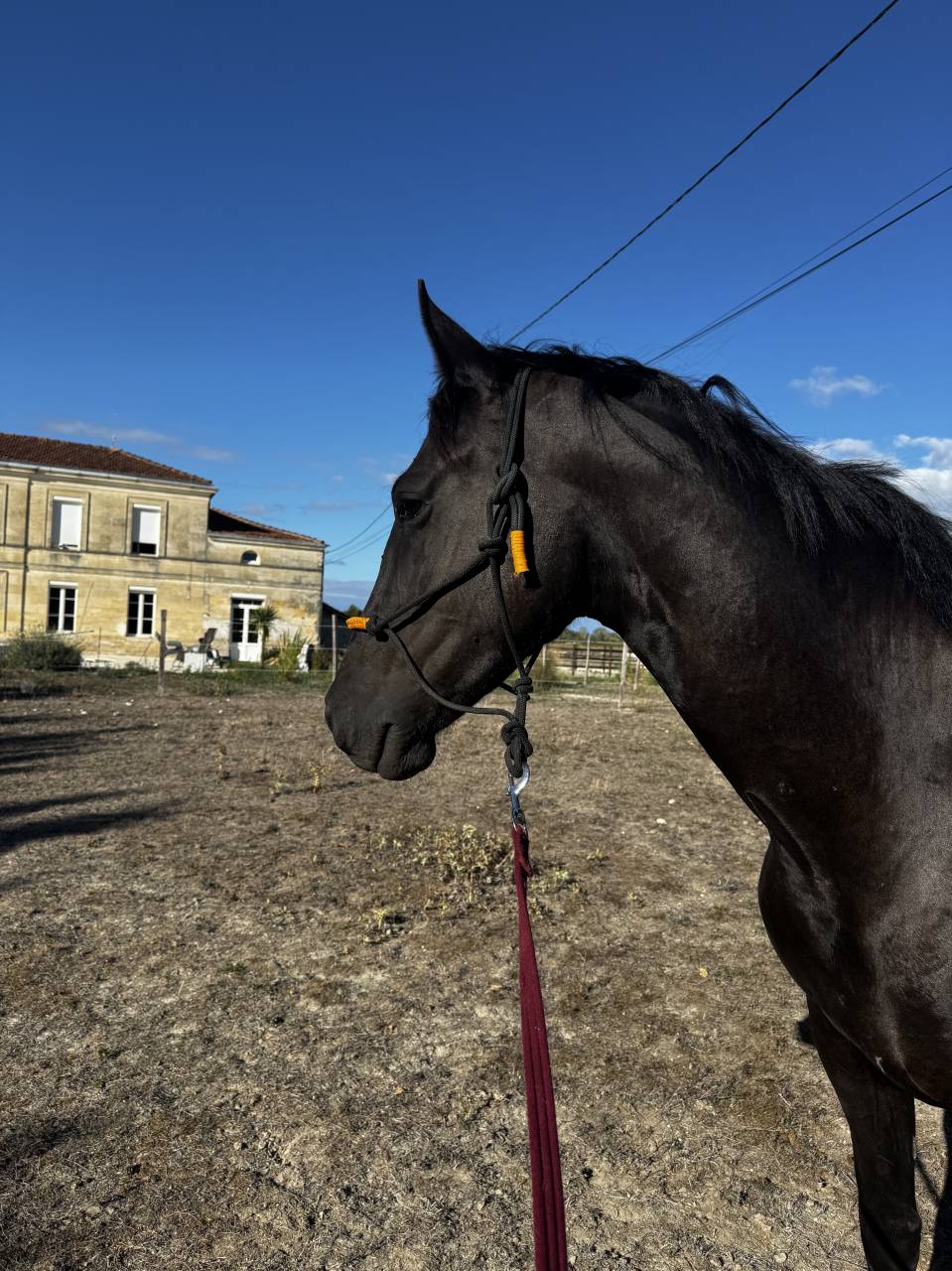&Agrave; VENDRE &ndash; NOIRE D&Eacute;SIR HTB