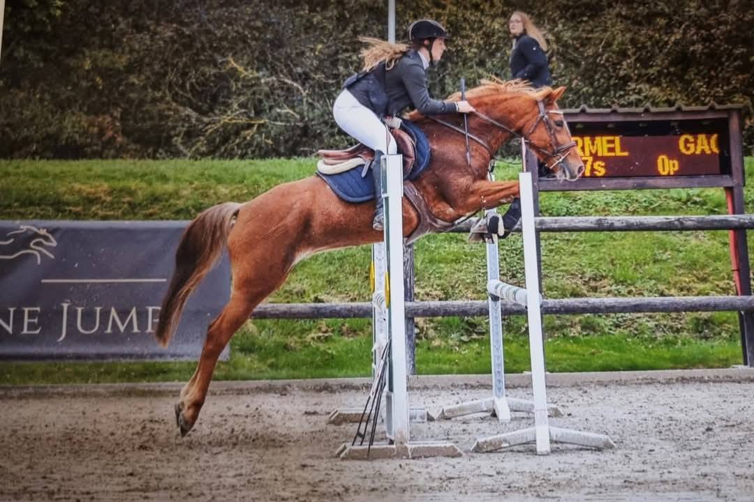 Super Ponette D de Concours 