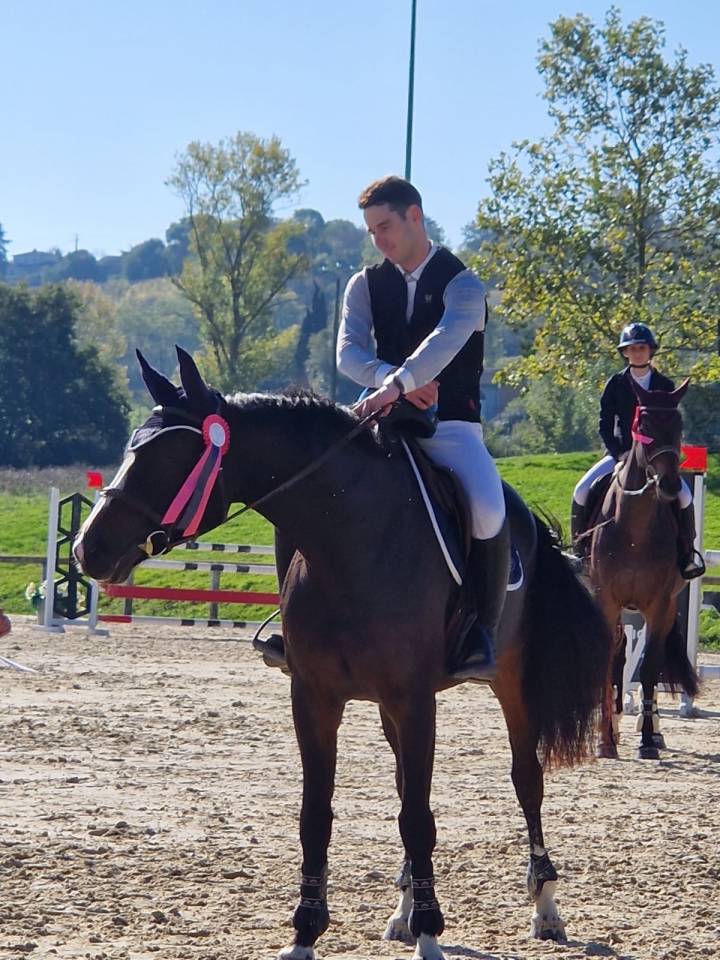 A vendre Jument 8 ans par LAUTERBACH/IDEAL DE LA LOGE