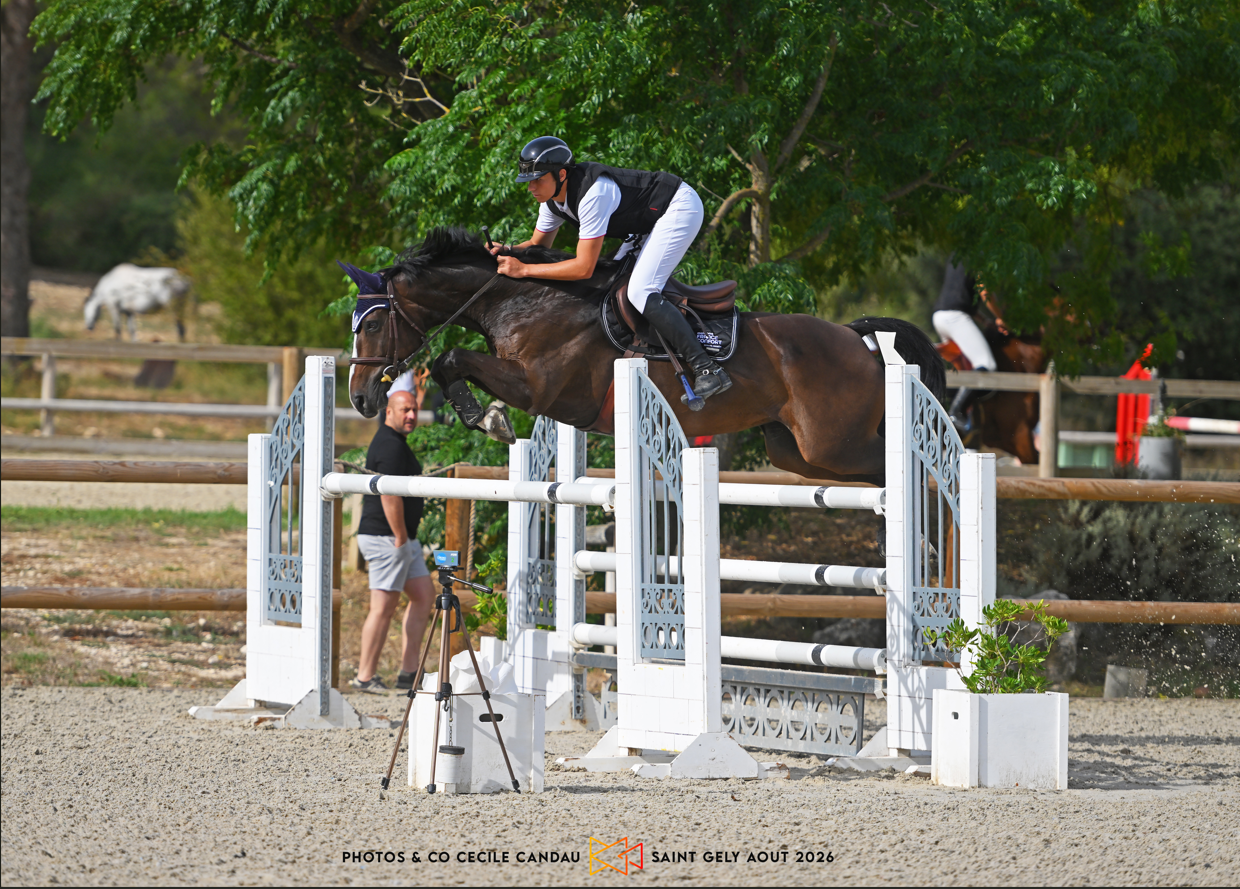 A vendre Jument 8 ans par LAUTERBACH/IDEAL DE LA LOGE
