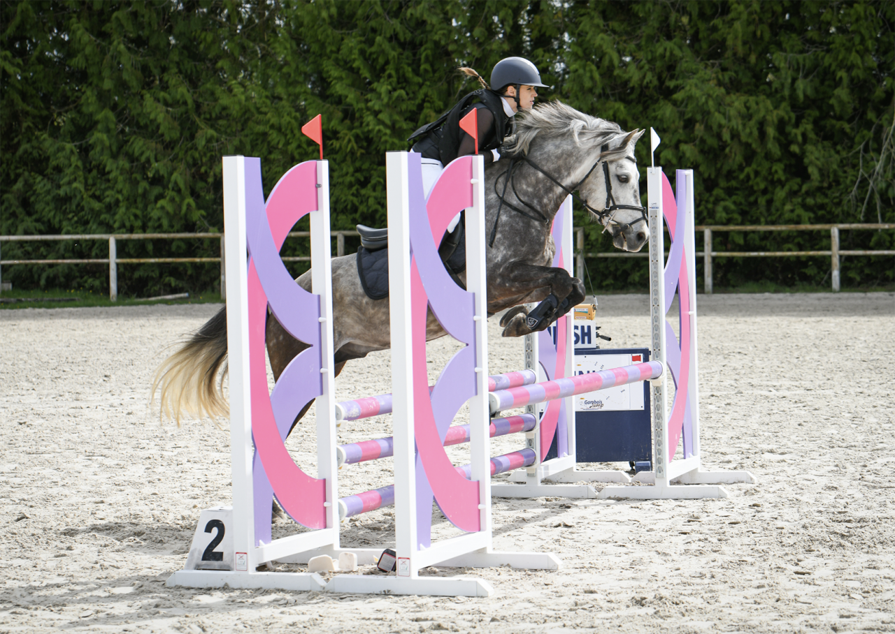 Poney de sport &agrave; prendre en demi-pension