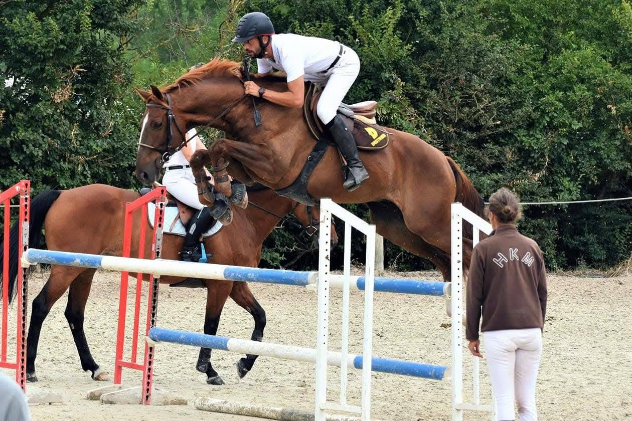 PONEY ENTIER 3ANS GOLDWIN D'EMBETS x FOLAMOUR DU BOIS