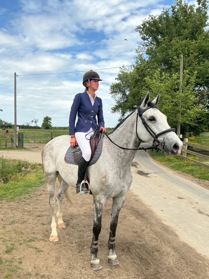 A vendre Jument 7ans  SF UNTOUCHABLE 27 x FOR PLEASURE