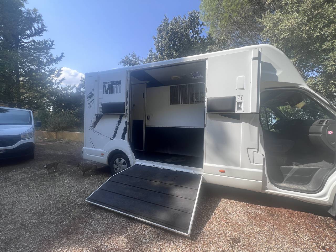 MTM Master filovan S5 
