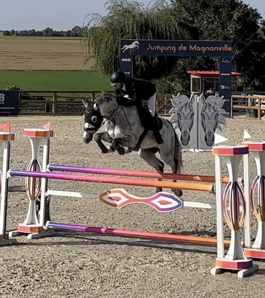 Cassalo &ndash; Hongre de 11 ans &ndash; 1m68