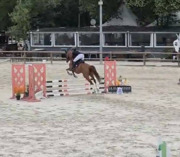 Jument 6 ans - pr&ecirc;te CSO amat 3 potentiel ++