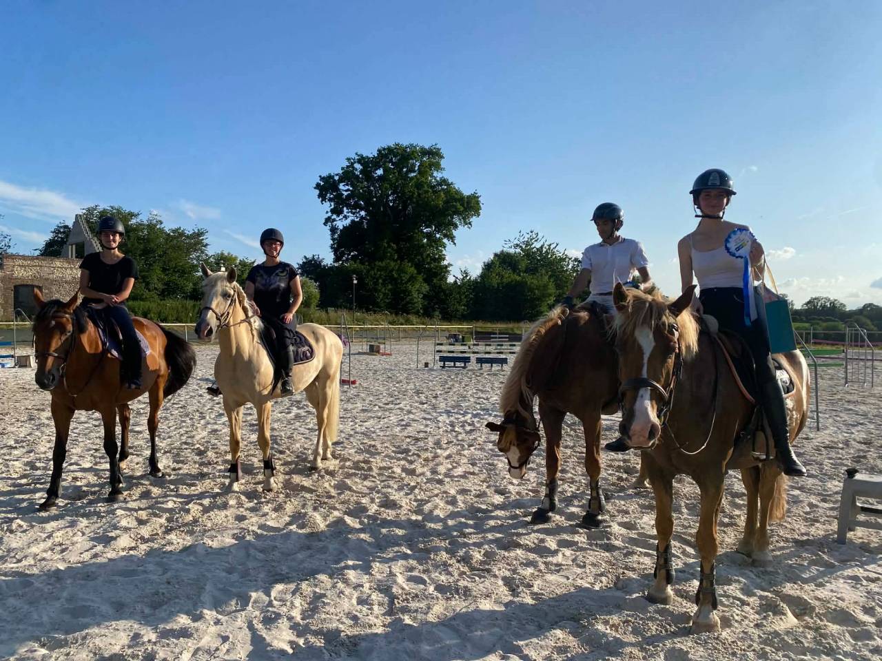 Pension chevaux 