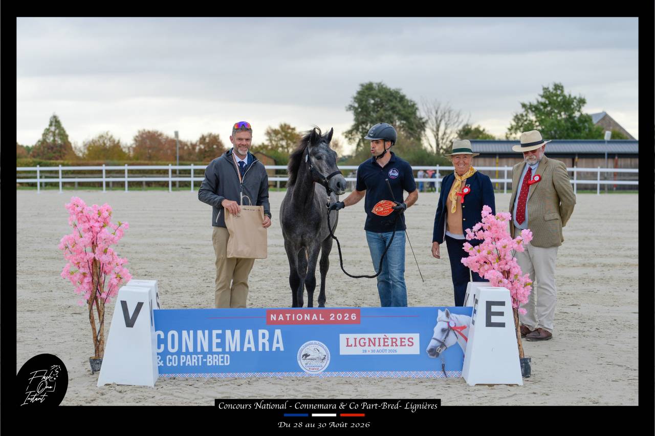 Pogue Mahone de Jerf &ndash; Connemara 1er  National 2026