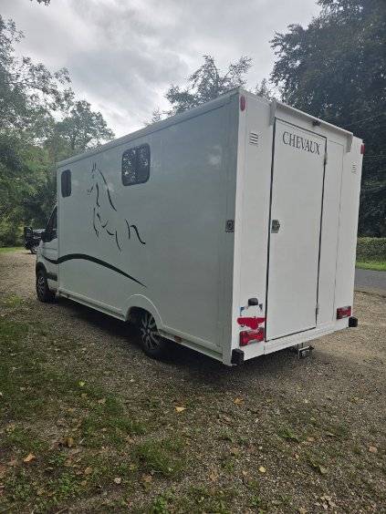 Camion chevaux Renault master 