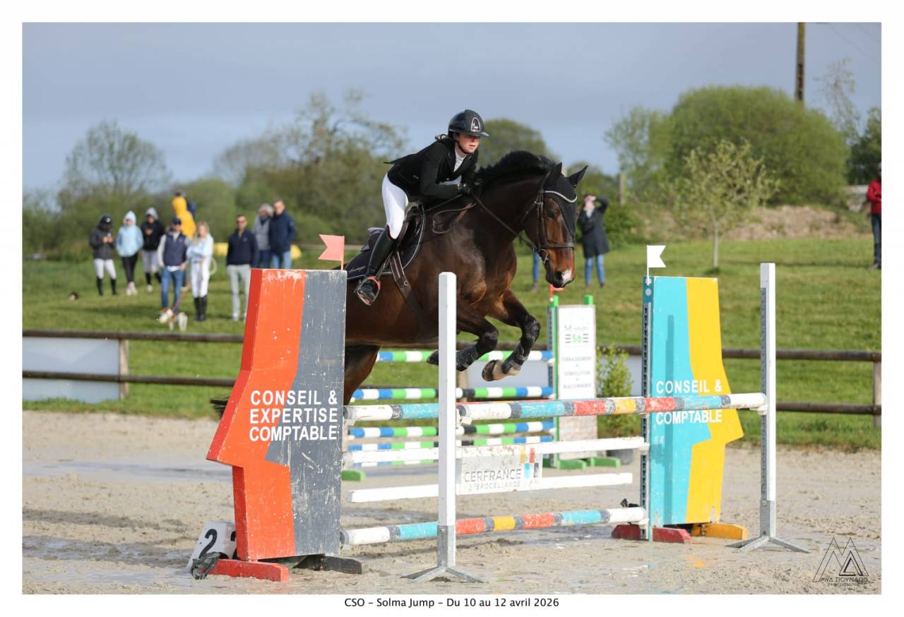 Top cheval d'amateur ( QUANTUM x ECHO DES F