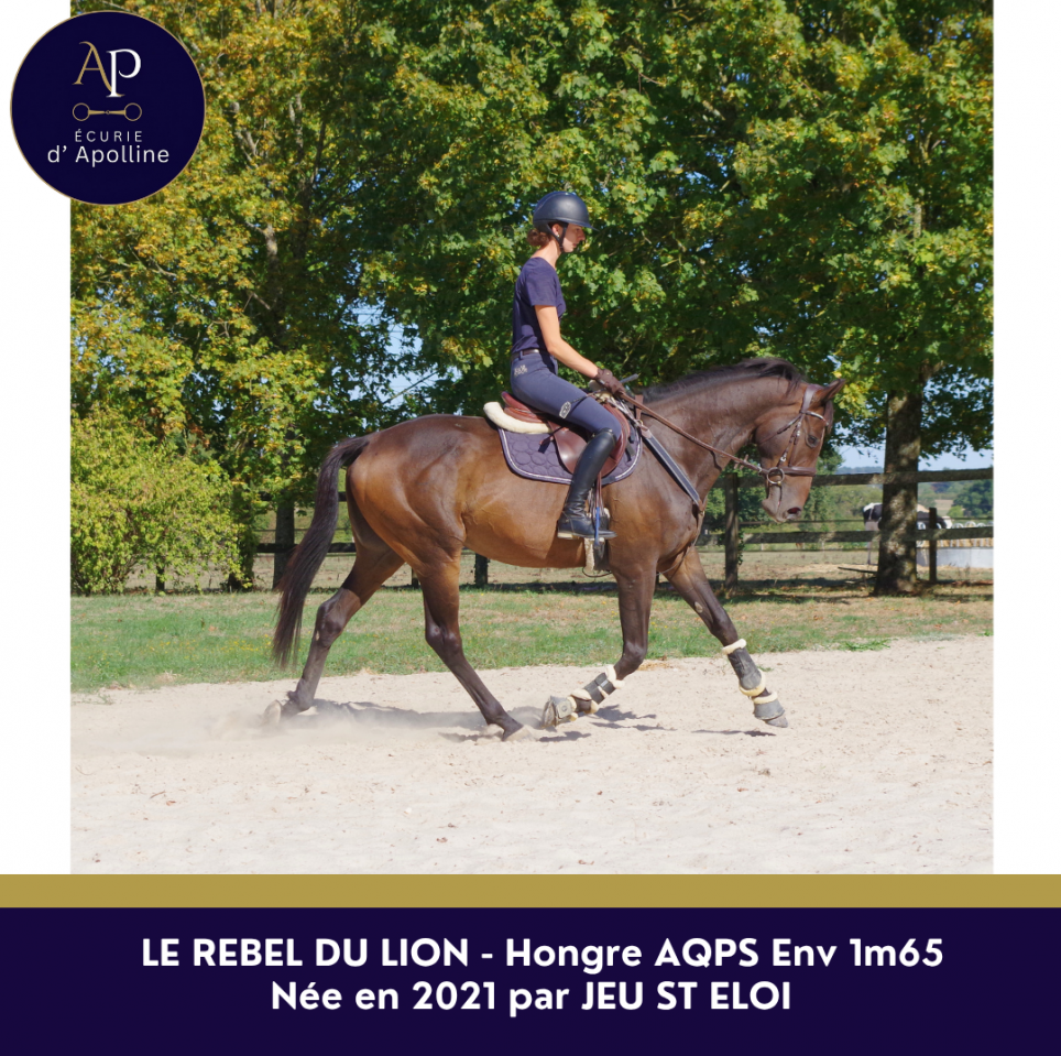 AQPS 5 ans beau mod&egrave;le 