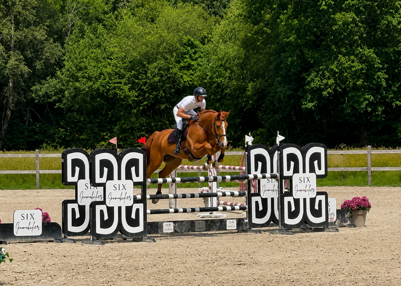 Pension Ecurie AT Jump