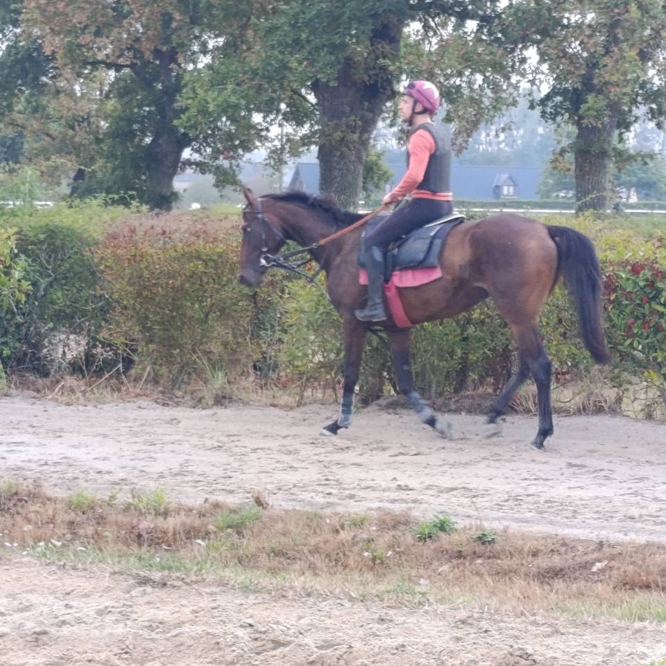 Pouliche aqps obstacles 4 ans