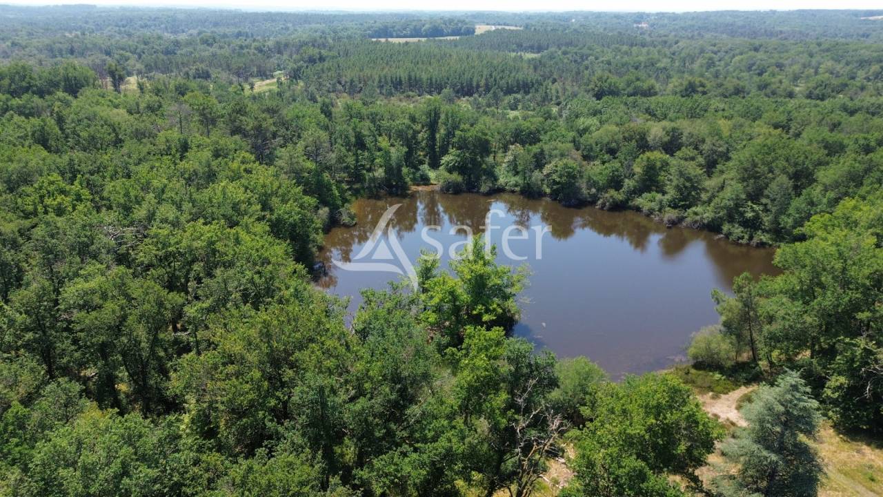 Belle propri&eacute;t&eacute; b&acirc;tie sur 90ha avec bois et &eacute;tang