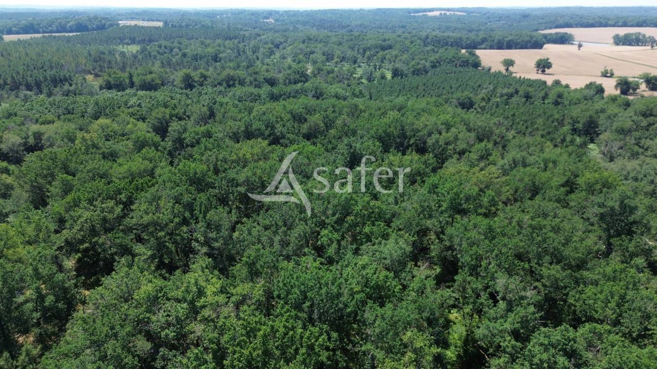 Belle propri&eacute;t&eacute; b&acirc;tie sur 90ha avec bois et &eacute;tang