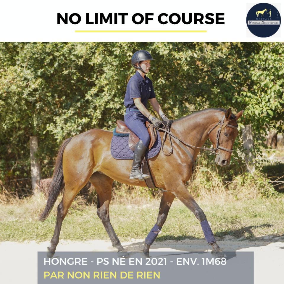 NO LIMIT OF COURSE - PS - 4 ANS
