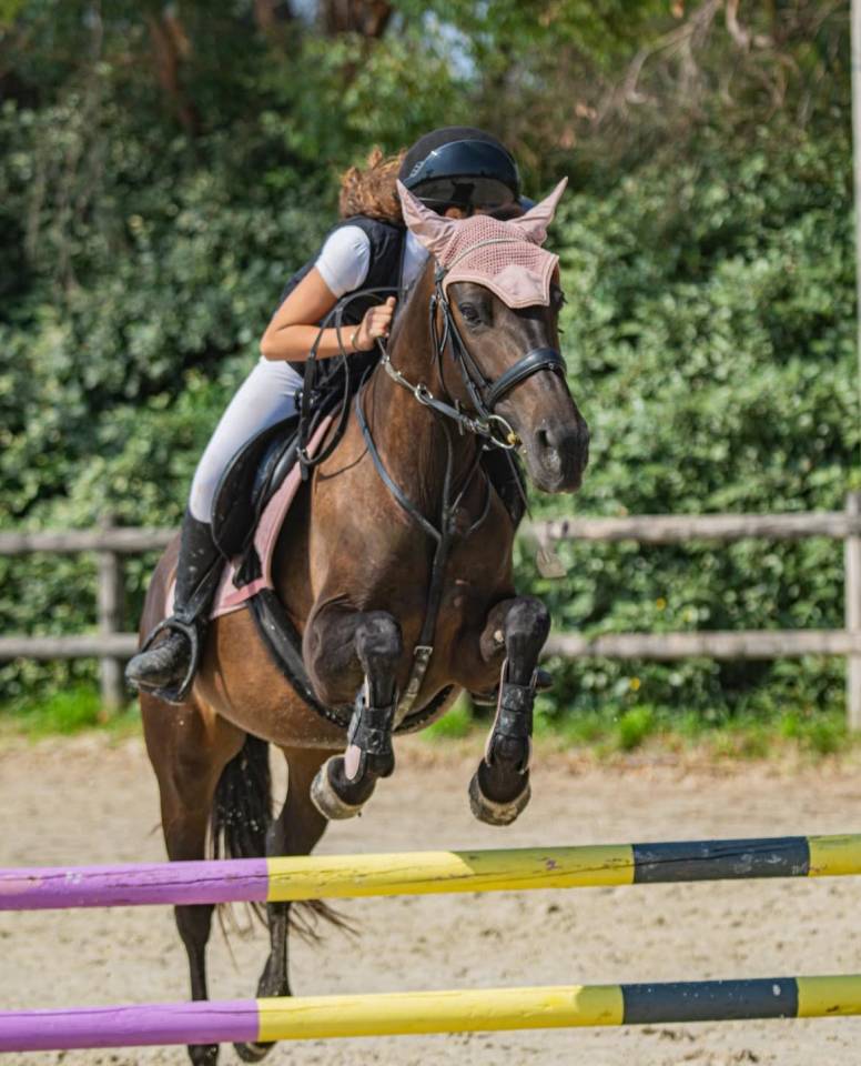 Jewel jument ONC 7 ans