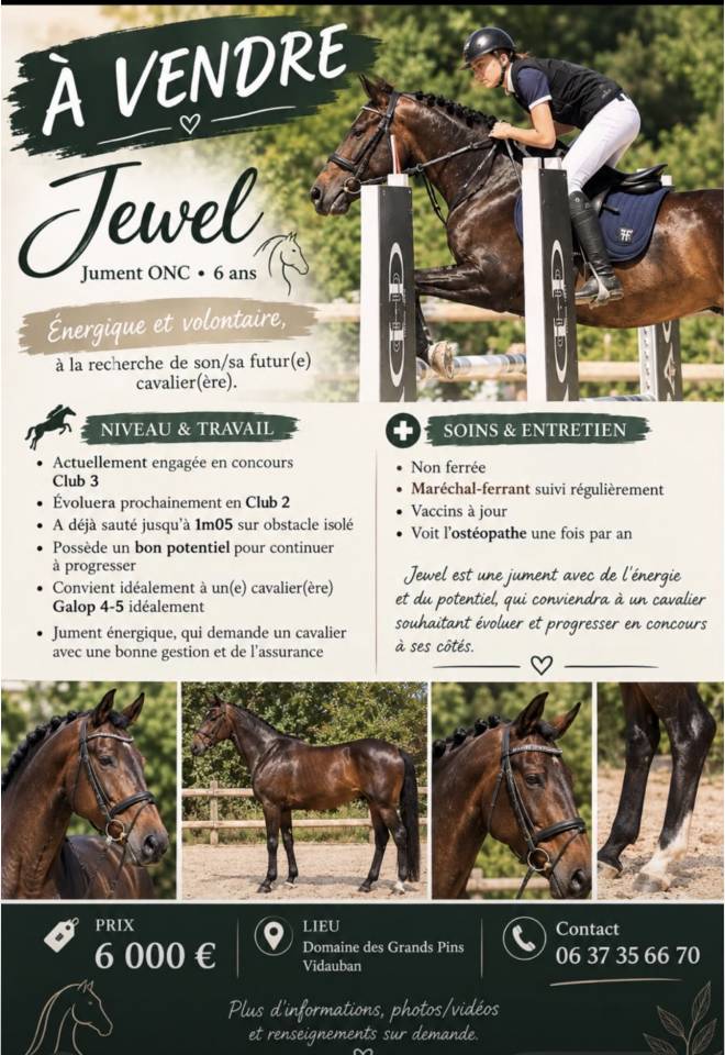 Jewel jument ONC 7 ans