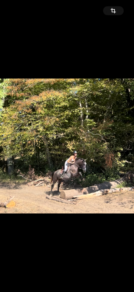 Cheval de sport et loisirs 