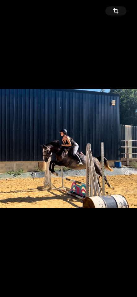Cheval de sport et loisirs 