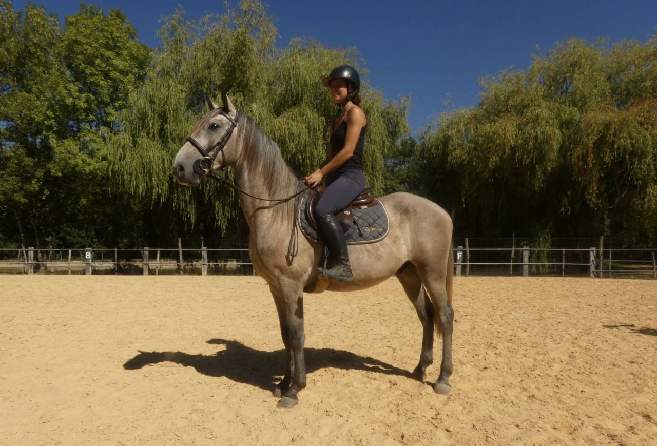 Cheval de sport et loisirs 