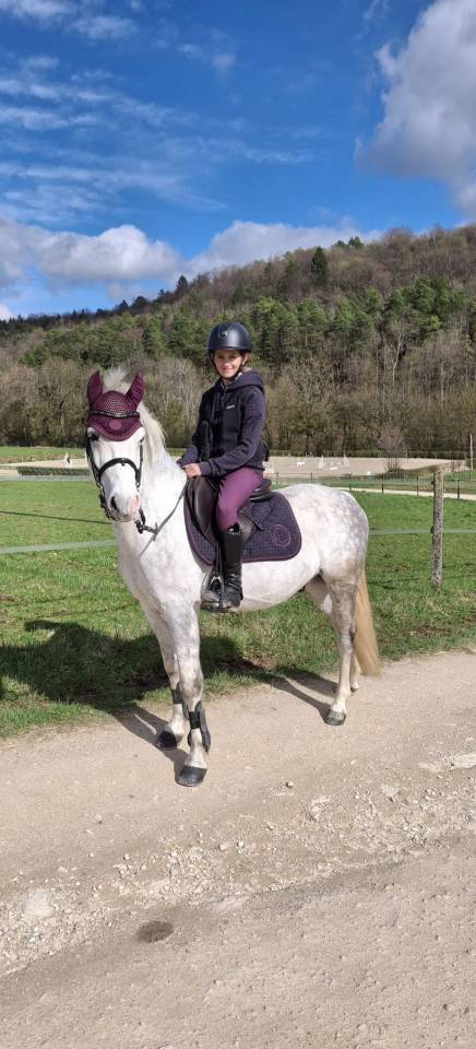 A VENDRE PONEY D