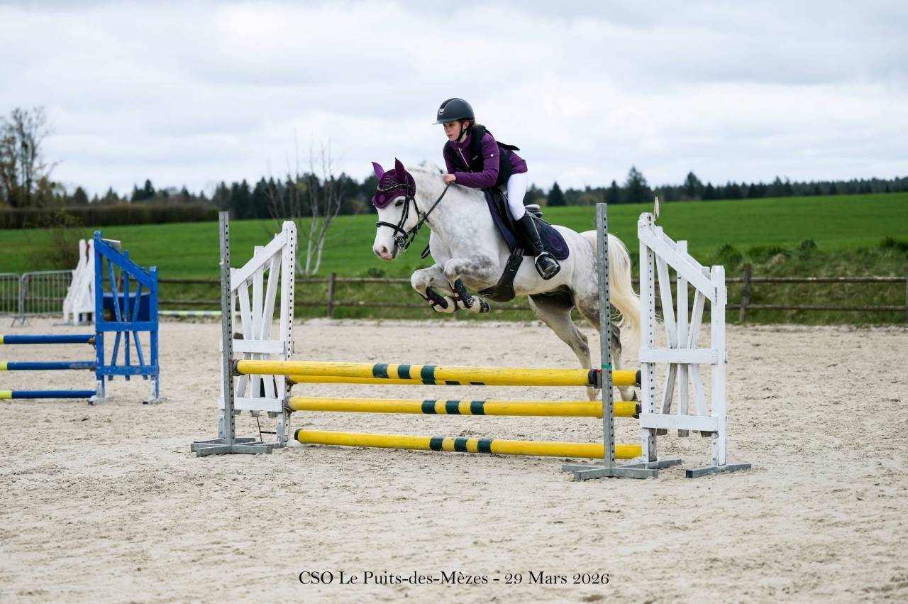 A VENDRE PONEY D