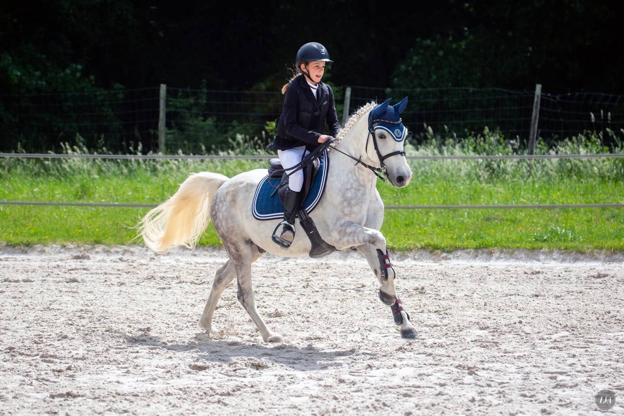 A VENDRE PONEY D