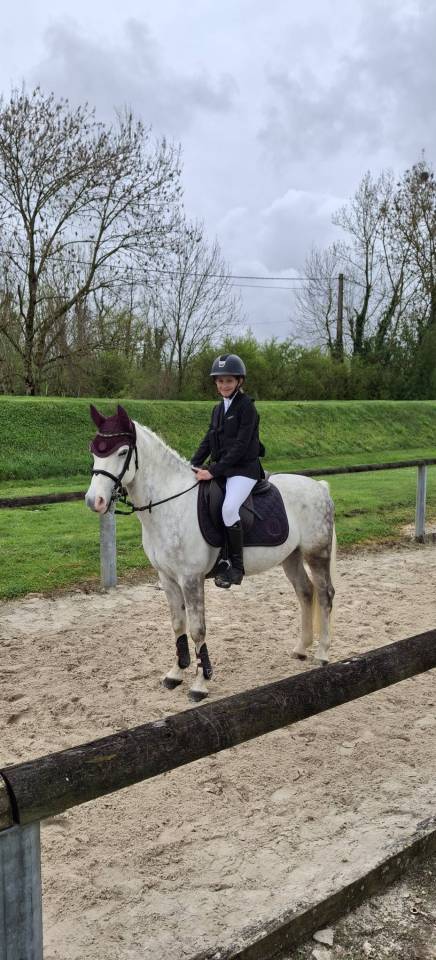 A VENDRE PONEY D