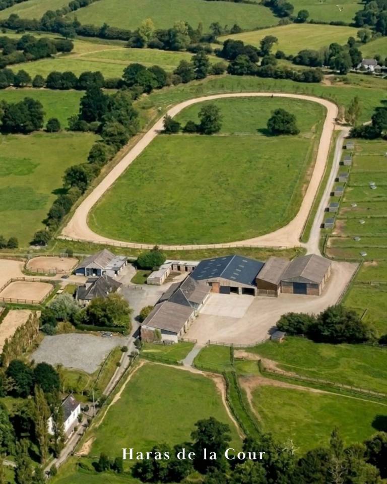 HARAS DE LA COUR | PENSION &Eacute;QUINE DEPUIS 1965