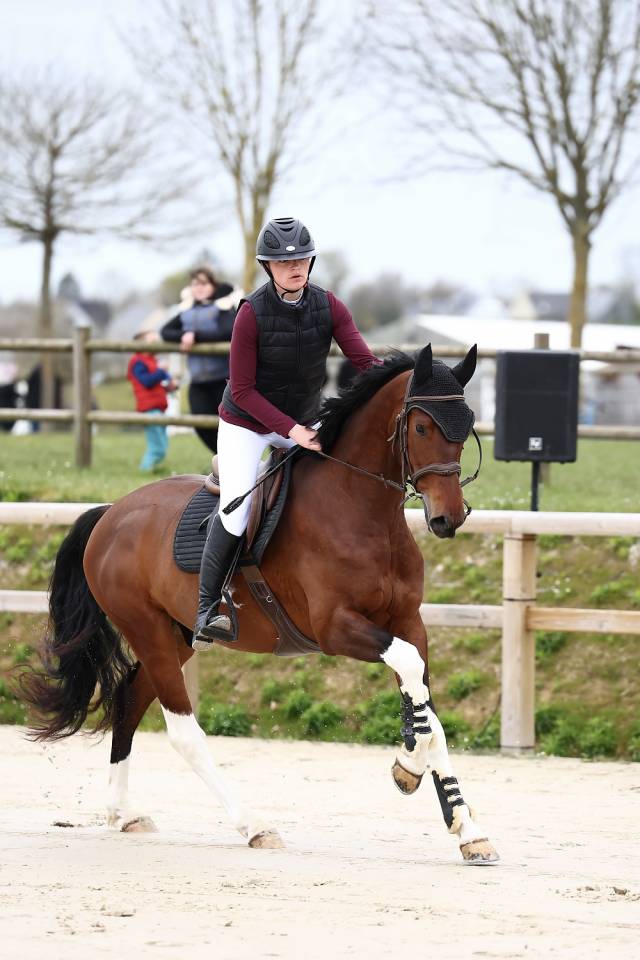 Paladin Loy &ndash; Hongre SBS pie bai &ndash; 5 ans &ndash; 1,63 m