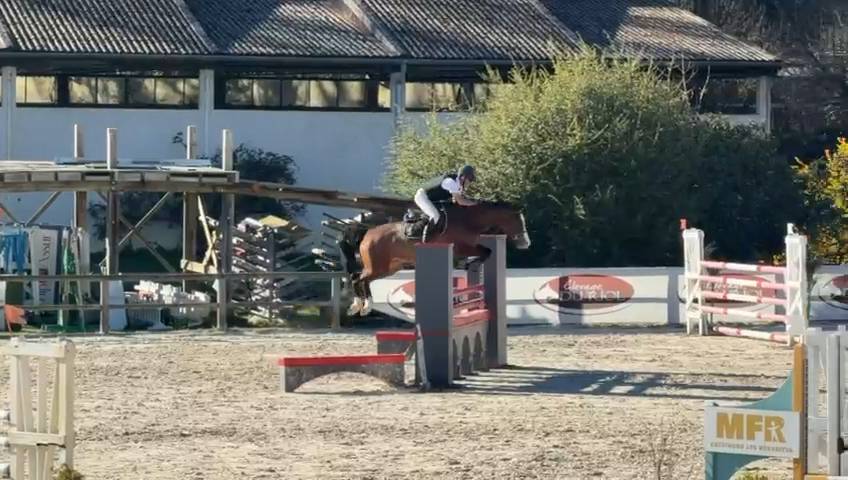 Jument 6 ans par Andiamo Semilly x L'Arc de Triomphe