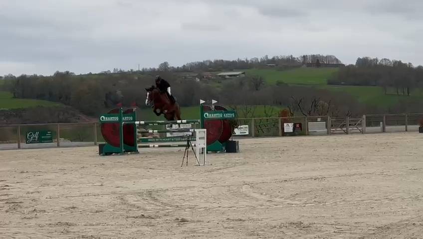 Jument 6 ans par Andiamo Semilly x L'Arc de Triomphe