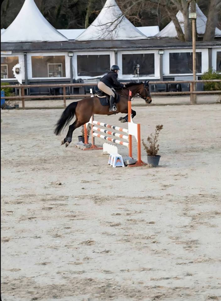 Cheval cso 120