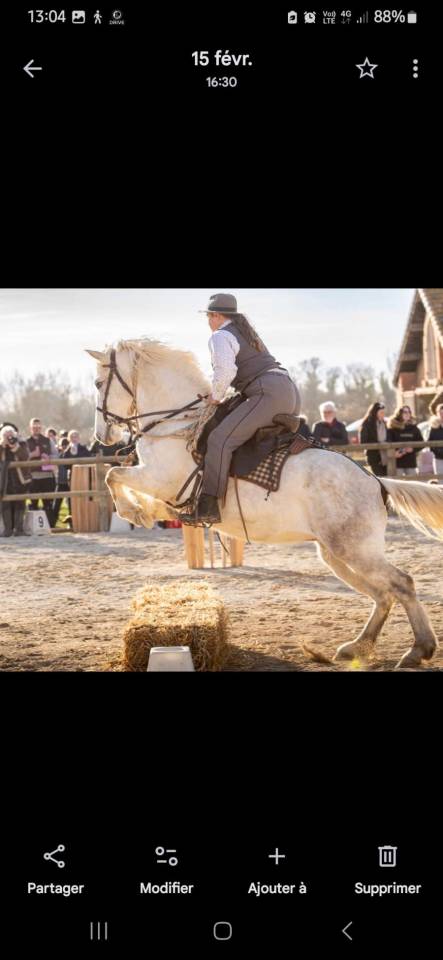 Jument Camargue
