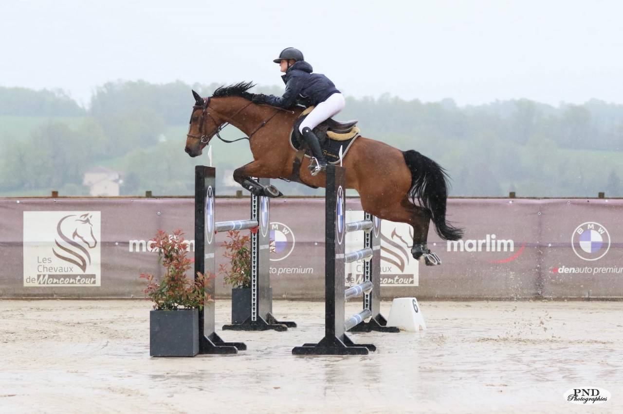 cheval de 7 ans gagnant sur les &eacute;preuves de 6 ans 