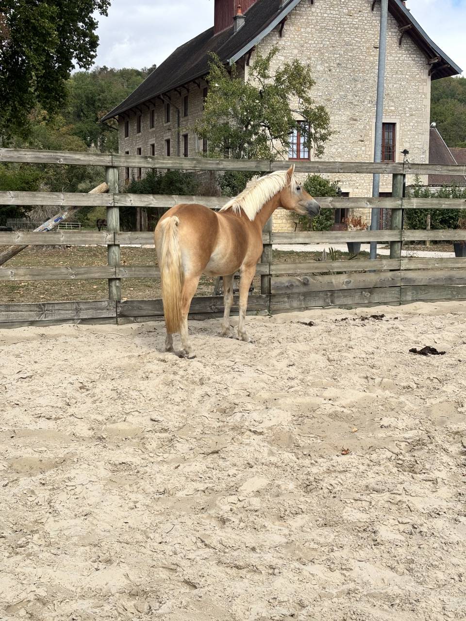 Pouliche 2 ans et demi 