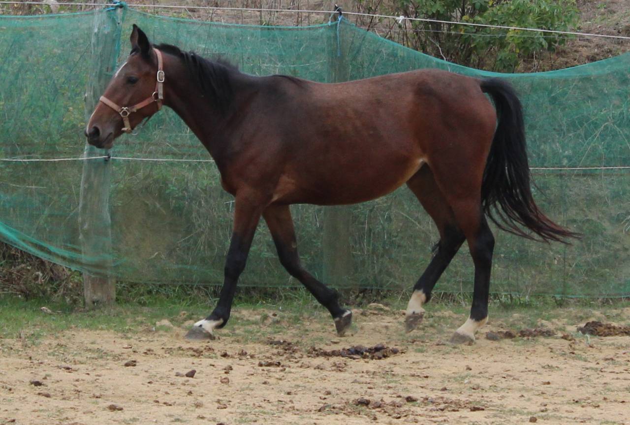 ponette,3 ans.
