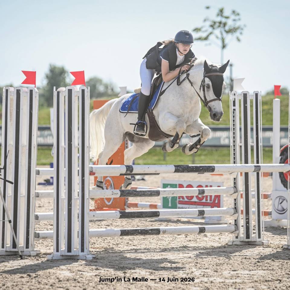 Poney D ma&icirc;tre d&rsquo;&eacute;cole