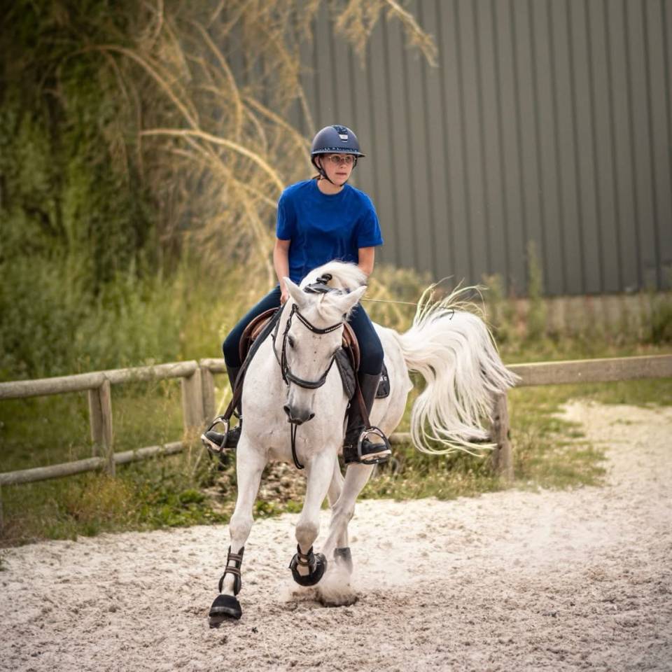 Poney D ma&icirc;tre d&rsquo;&eacute;cole
