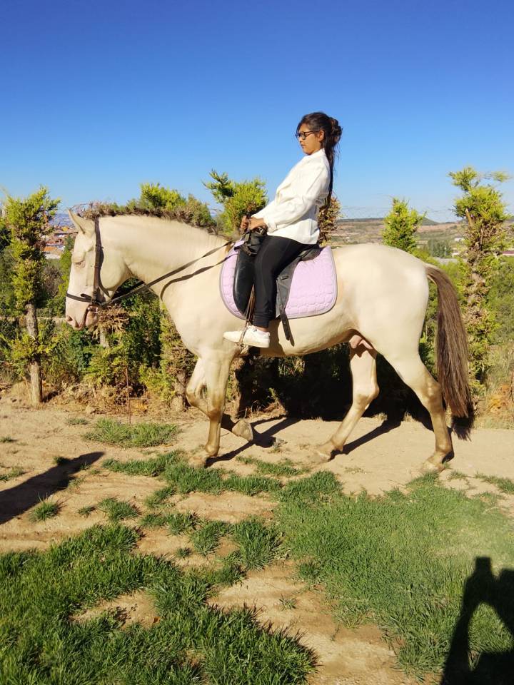 Caballos desde Espa&ntilde;a.