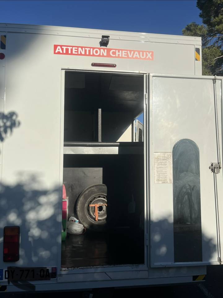 VL chevaux