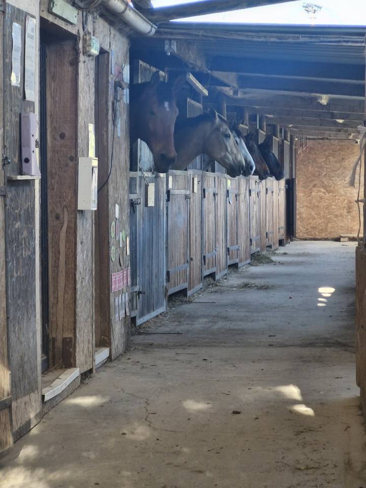 Location aile de boxes