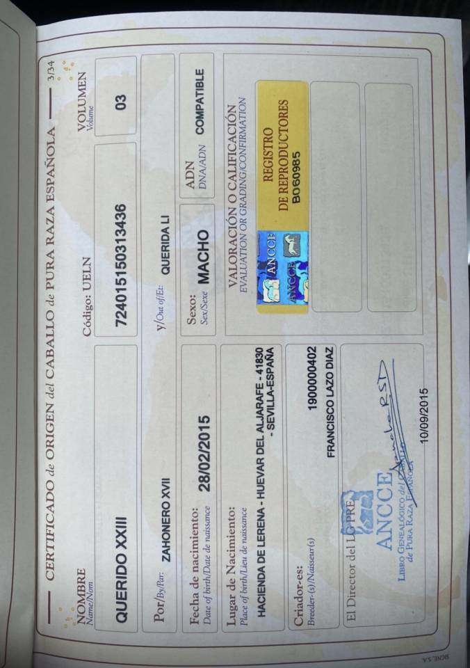 PRE PP APTO 1m73