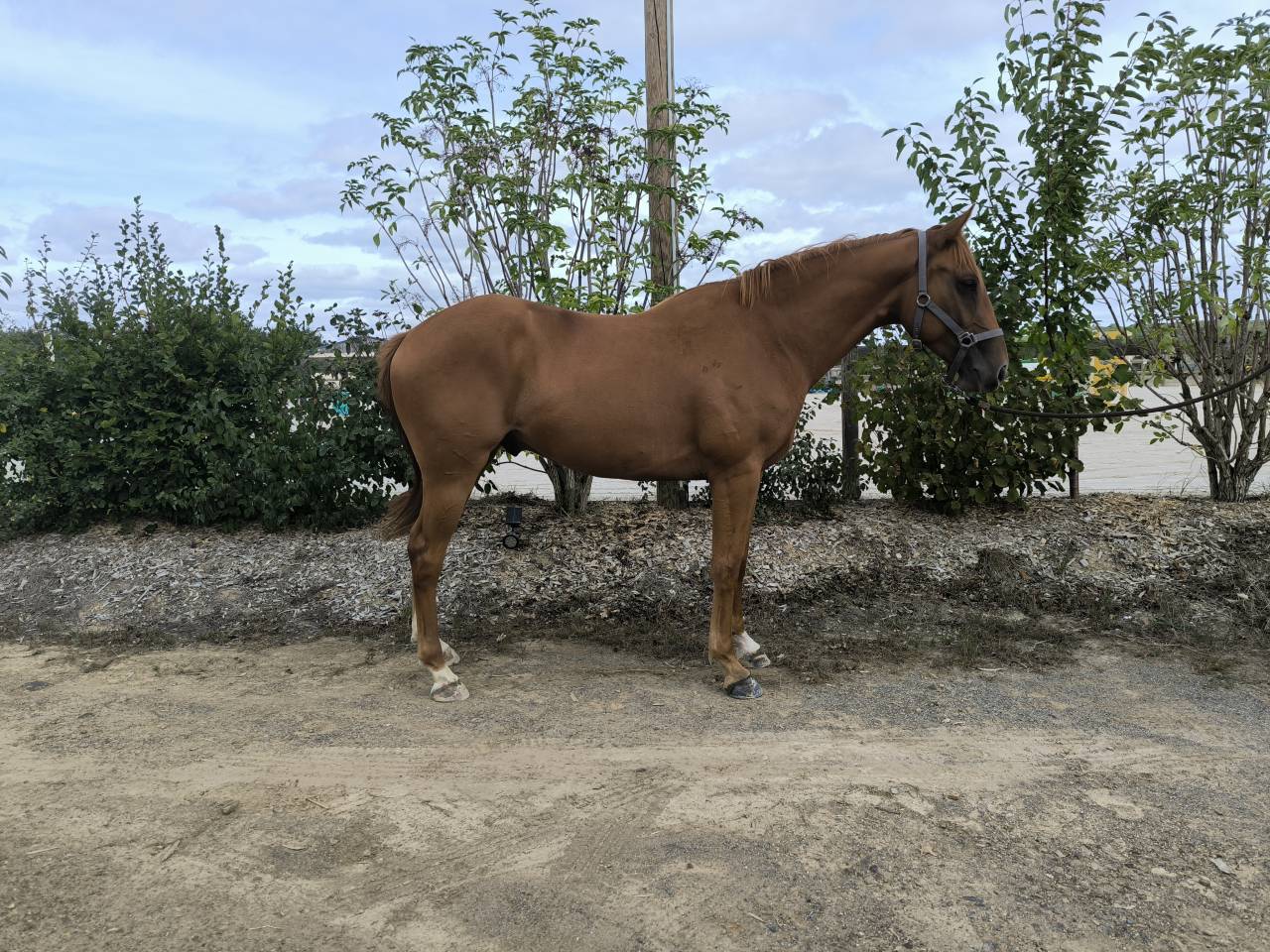 3 ans par Candy de Nantuel 